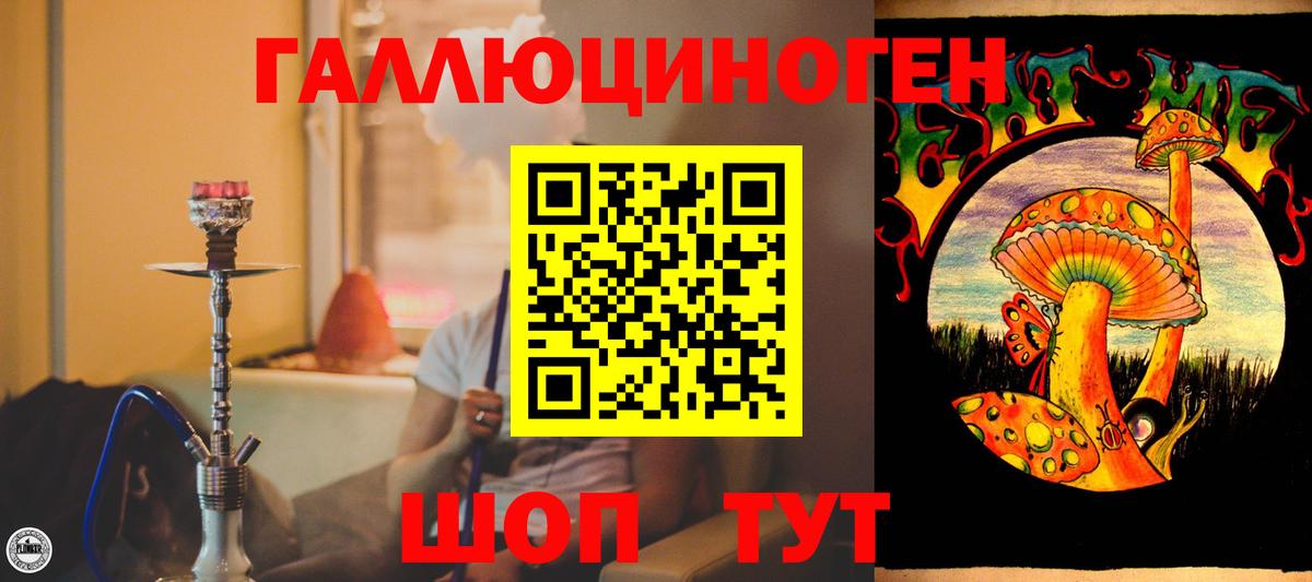 Псилоцибиновые грибы MAGIC MUSHROOMS  Вход с VPN  Малгобек  Псилоцибиновые грибы мицелий 