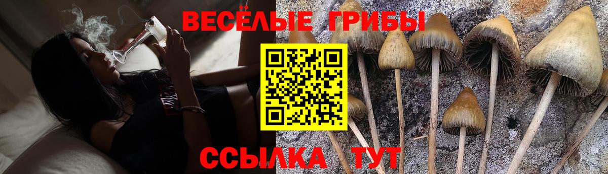 Псилоцибиновые грибы Magic Shrooms Малгобек